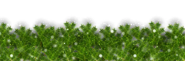 Christmas Fir Tree Snow Background — Stock Vector