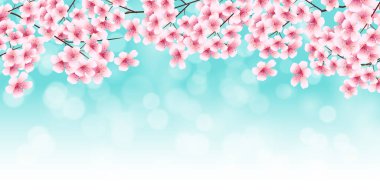 Kiraz çiçeği bahar suluboya arka planı