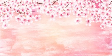 Kiraz çiçeği bahar suluboya arka planı