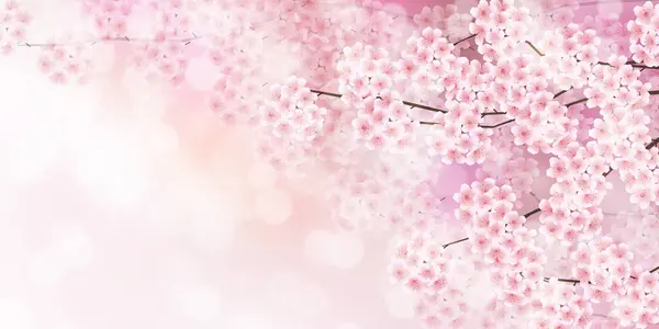 Cherry Blossom Primavera Acquerello Sfondo — Vettoriale Stock