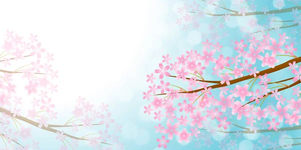 Cherry Blossom Wiosna Akwarela Tło — Wektor stockowy