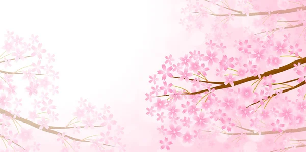 Cherry Blossom Primavera Acquerello Sfondo — Vettoriale Stock