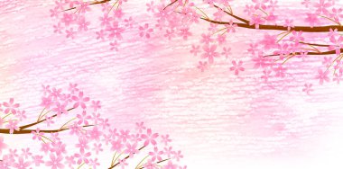 Kiraz çiçeği bahar suluboya arka planı