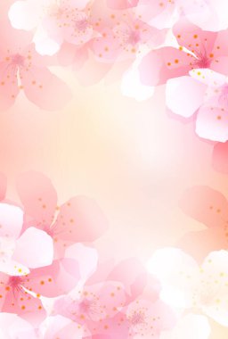 Kiraz Çiçekleri Japon desenli suluboya arka planı