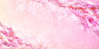 Kiraz çiçeği bahar suluboya arka planı