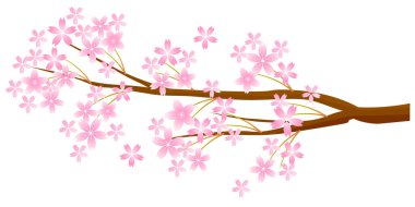 Kiraz Çiçekleri Japon Şablonu Nişan Simgeleri