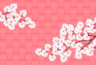 Kiraz çiçeği bahar suluboya arka planı