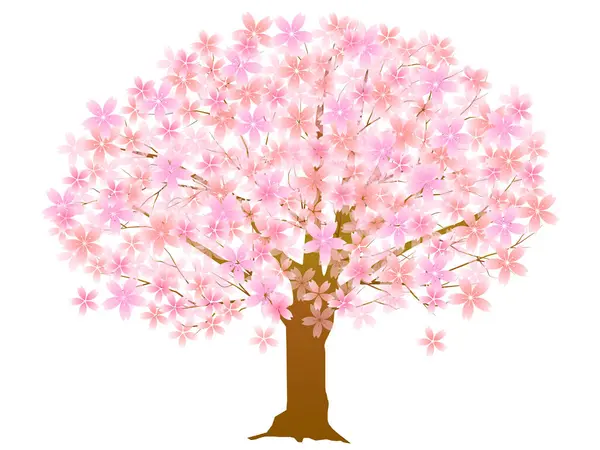桜の泉の水彩アイコン — ストックベクタ