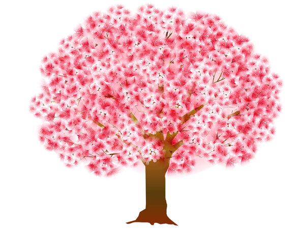 cherry blossom spring watercolor icon