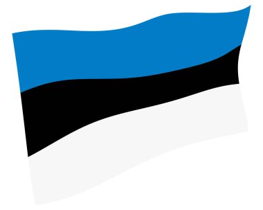 Estonya Ülke Bayrağı Dünya Simgesi