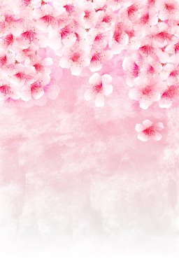 Kiraz çiçeği bahar suluboya arka planı