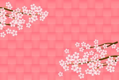 Kiraz çiçeği bahar çiçeği arka planı