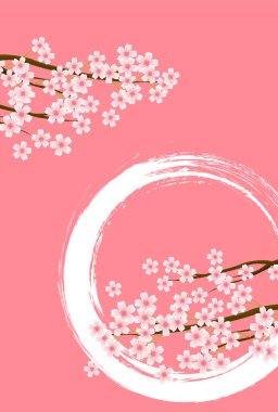 Kiraz çiçeği bahar çiçeği arka planı