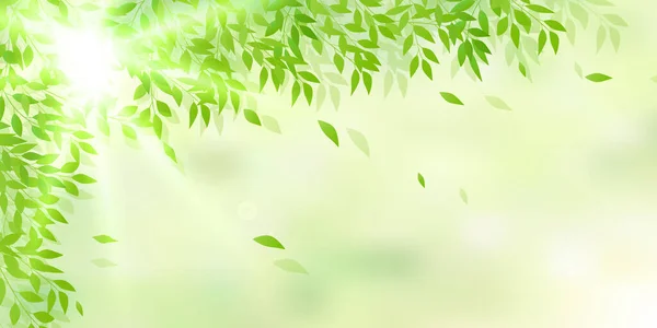 fresh green leaves landscape background