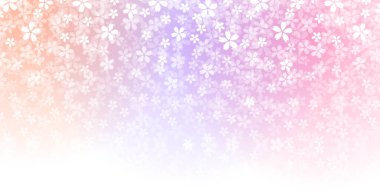 Kiraz Çiçekleri Japon desenli suluboya arka planı