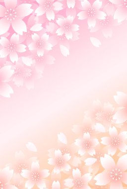 Kiraz Çiçekleri Japon desenli suluboya arka planı