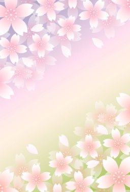 Kiraz Çiçekleri Japon desenli suluboya arka planı