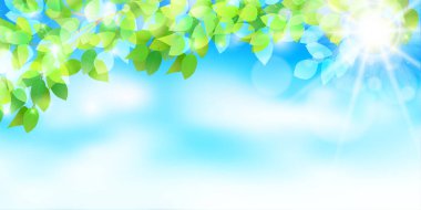 Taze yeşil yaprakları manzara arka plan