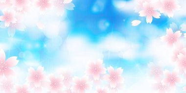 Kiraz Çiçekleri İlkbahar Gökyüzü Arkaplanı