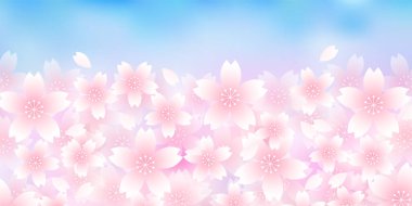 Kiraz Çiçekleri Japon desenli suluboya arka planı