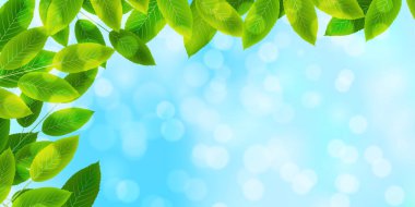 Taze yeşil yaprakları manzara arka plan