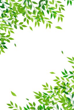 Taze yeşil yaprakları manzara arka plan