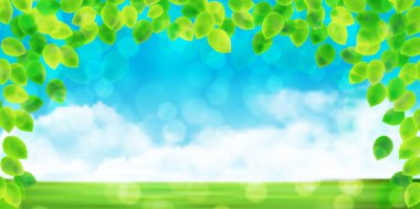 Taze yeşil gökyüzü çayırı arka planı