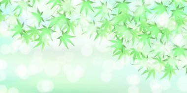 Akçaağaç Taze Yeşil Sıcak Yaz Arkaplanı