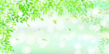 Taze yeşil yaprakları manzara arka plan