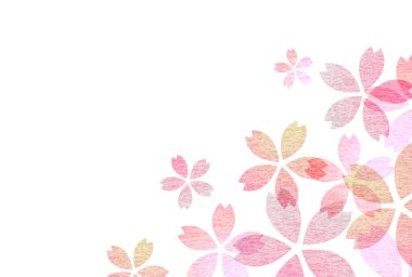 Kiraz çiçekleri bahar Japon desenli arka plan