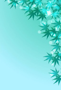 Akçaağaç Taze Yeşil Sıcak Yaz Arkaplanı