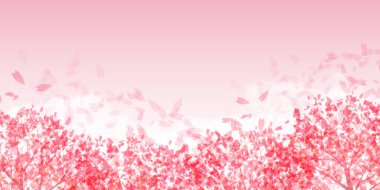 Kiraz Çiçekleri Japon desenli suluboya arka planı