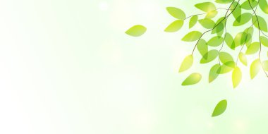 Taze yeşil yaprakları manzara arka plan