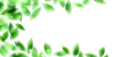 Taze yeşil yaprakları manzara arka plan