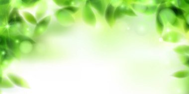 Taze yeşil yaprakları manzara arka plan