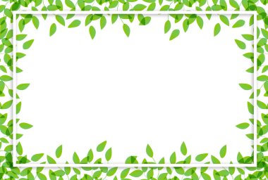 Taze yeşil yaprakları manzara arka plan