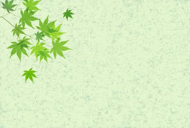 Japon Kağıt arka plan akçaağaç yaprakları