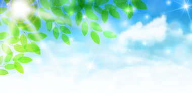 Japon desenli Japon model arka planı