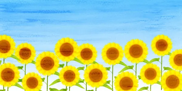 Sunflower Sky Flower Landscape Background