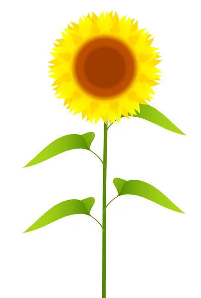 Sunflower Flower Summer Plant Icon