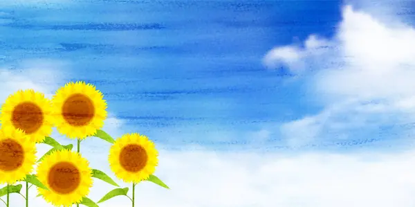 Sunflower Sky Flower Landscape Background