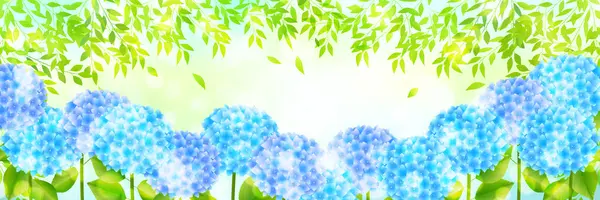 Hydrangea Rainy Season Flower Background