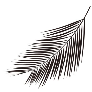 Palmiye silueti yaprağı bitki simgesi