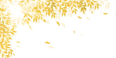 Sonbahar yaprakları sonbahar arka plan bırakır