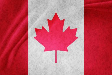 Kanada Ülke Bayrağı Dünya Arkaplanı