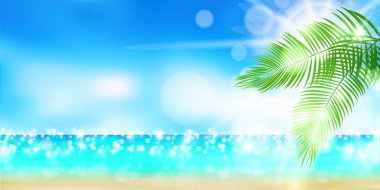 deniz gökyüzü palmiye yaprağı arka planı