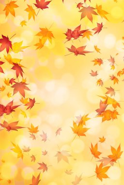 Sonbahar Akçaağaç Ağaç Yaprakları Sonbahar Arkaplanı