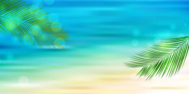 Deniz ayası yaz manzarası arka planı