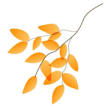 Sonbahar yaprağı sonbahar ağacı simgesi