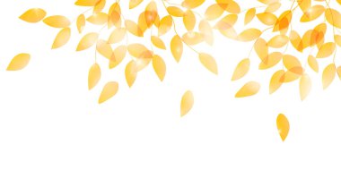 Sonbahar Yaprakları Manzarası Arkaplanını Bırakıyor